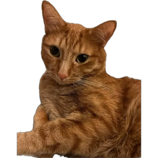 123